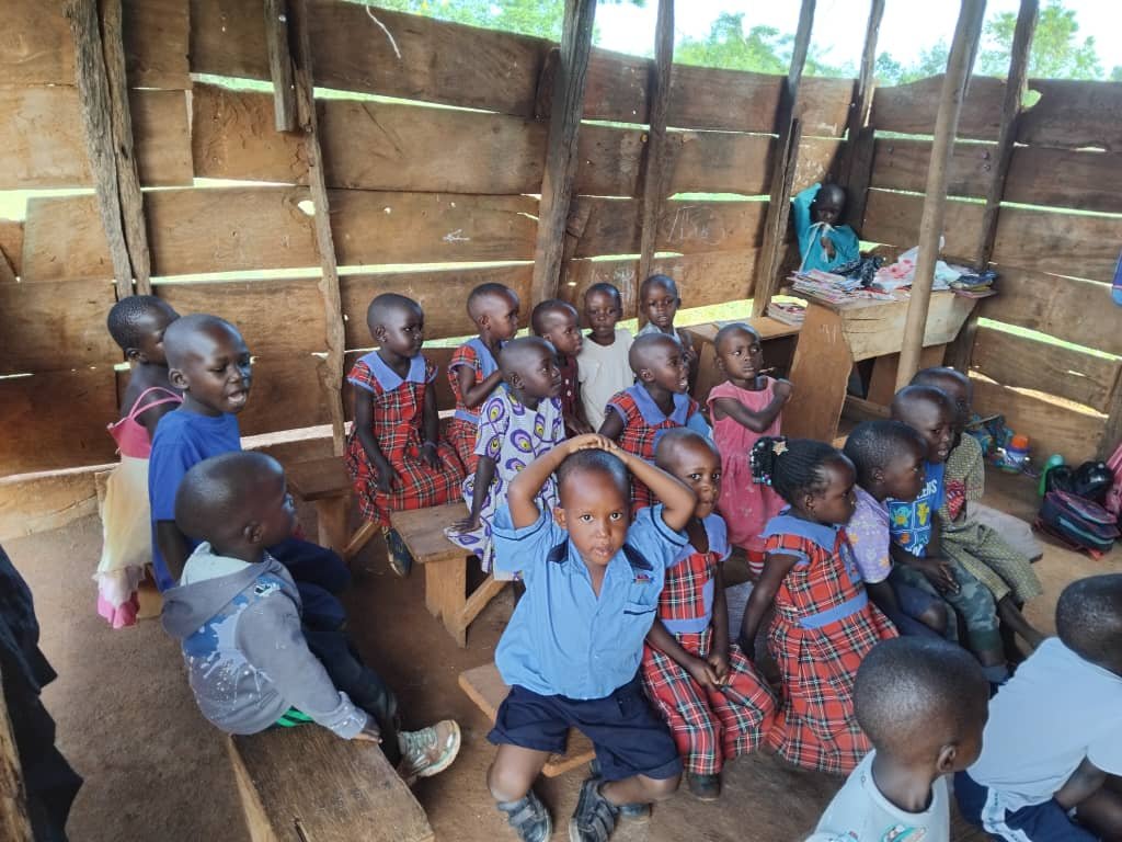 Primary Seven